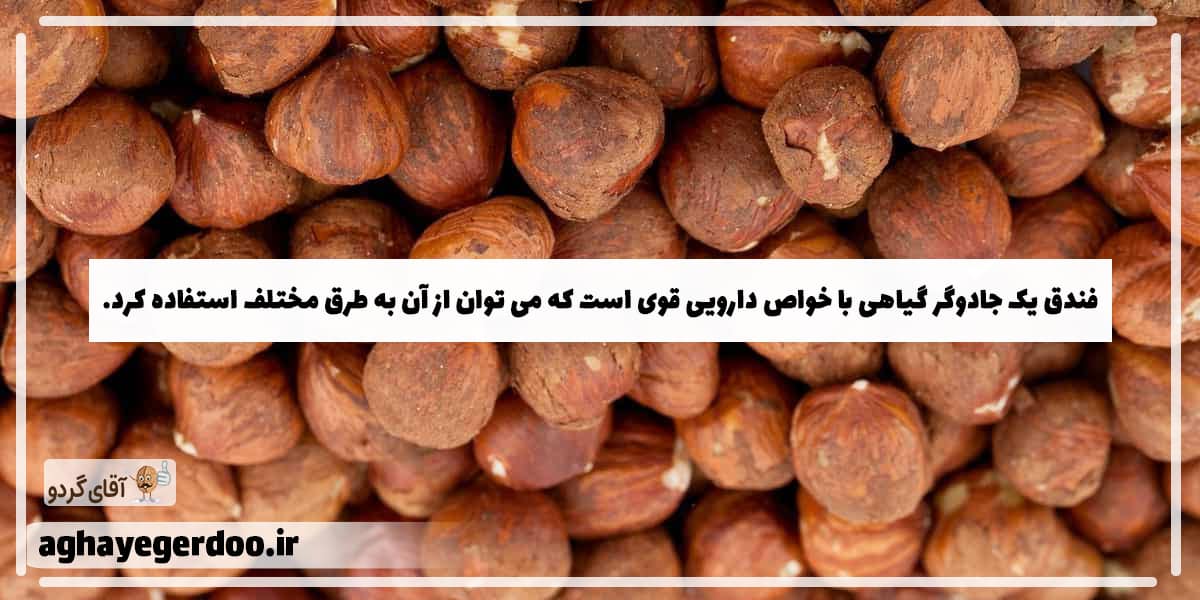 فندق چه فوایدی دارد