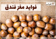 خواص و فواید فندق برای سلامتی