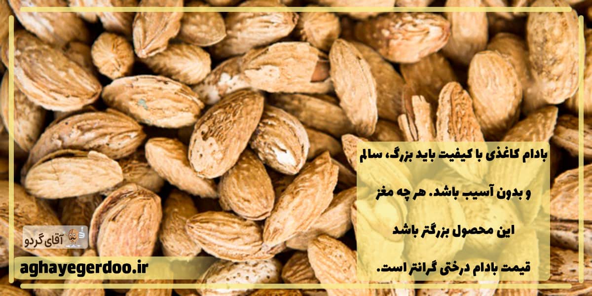 قیمت بادام کاغذی