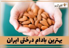 The-best-almonds-in-Iran