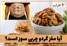 Walnut-kernels-and-fat-burning