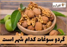 Which-city-is-the-souvenir-walnut