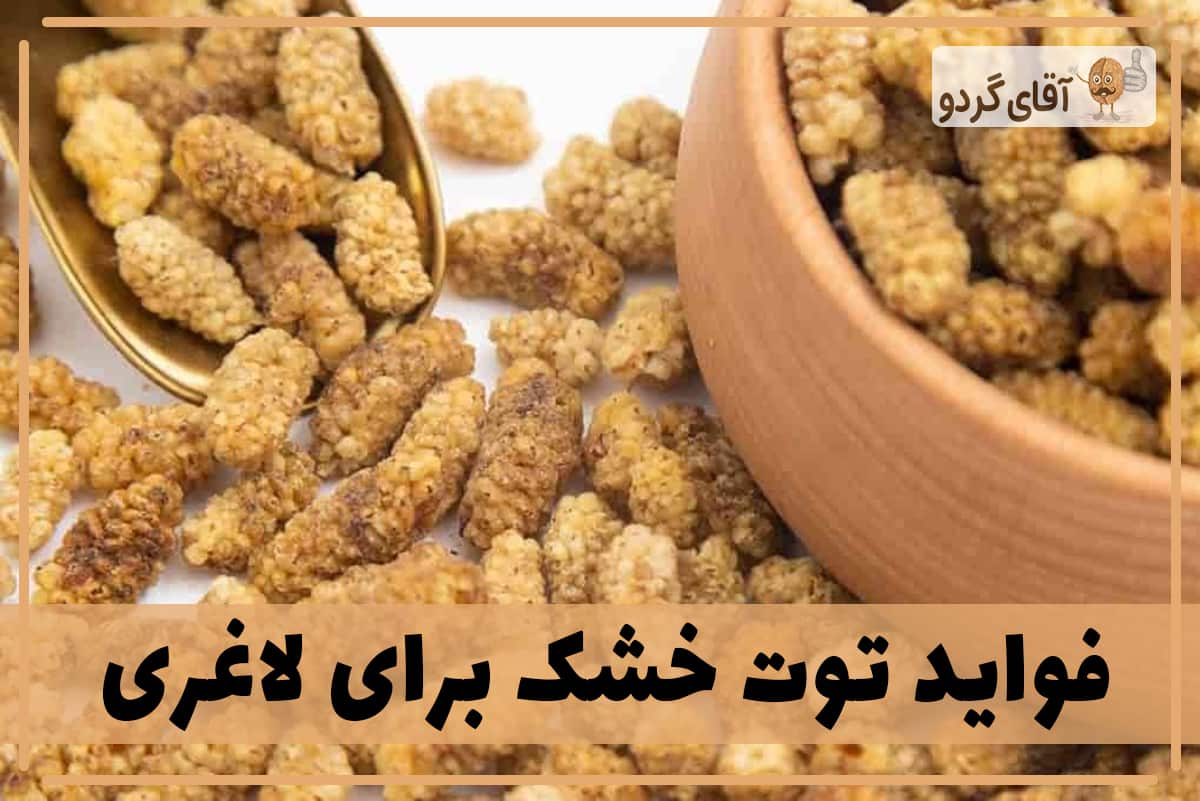 فواید توت خشک برای لاغری