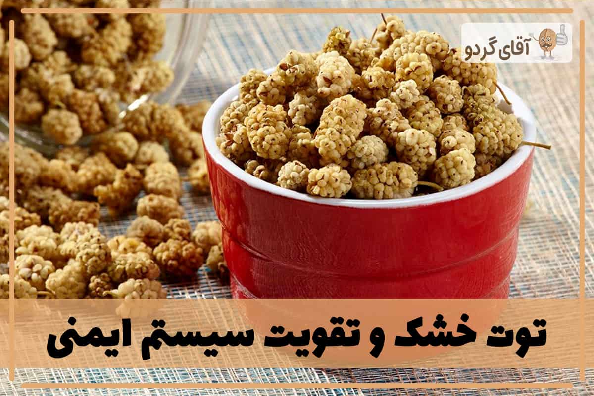 خواص توت خشک برای سیستم ایمنی