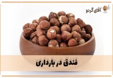Benefits-of-eating-hazelnuts-during-pregnancy-aghayegerdoo-min