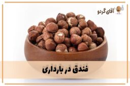 Benefits-of-eating-hazelnuts-during-pregnancy-aghayegerdoo-min