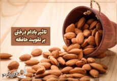 تاثیر بادام درختی بر حافظه