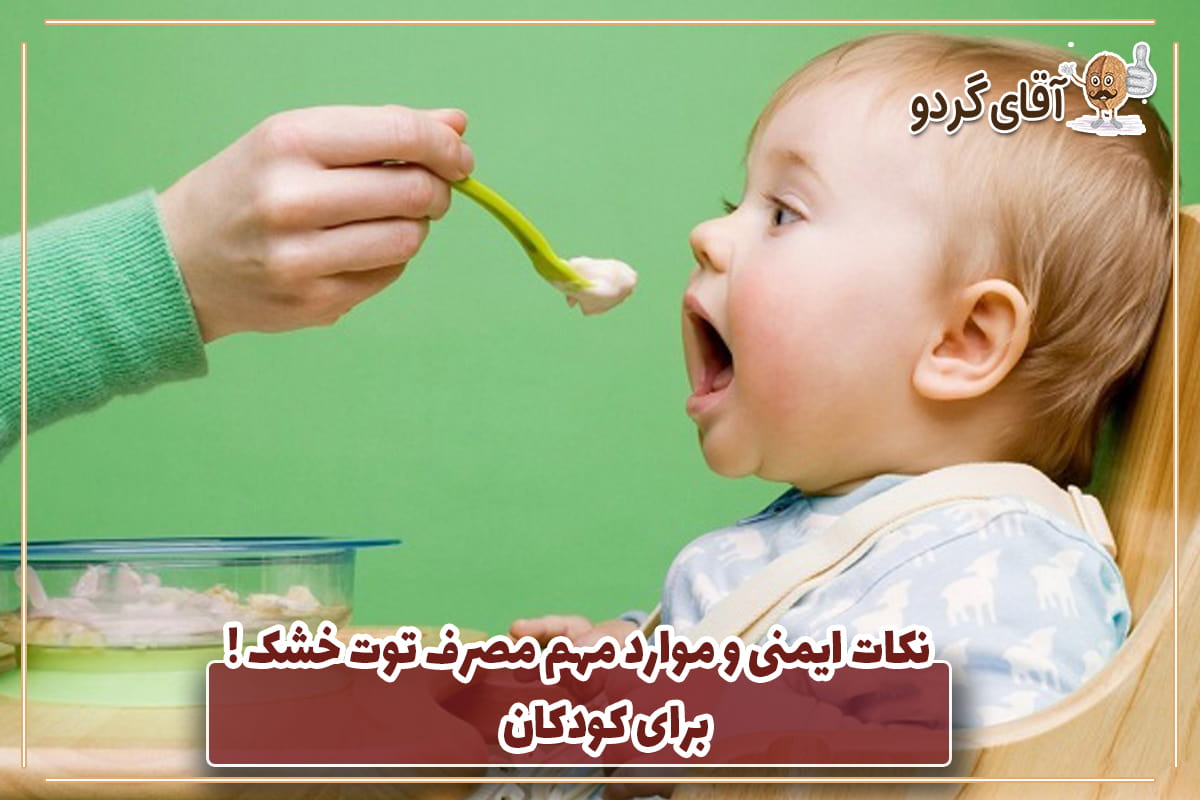 نکات مهم در مورد مصرف توت خشک برای کودکان