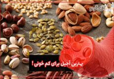 بهترین آجیل برای کم خونی