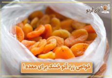 خواص زردآلو خشک برای معده