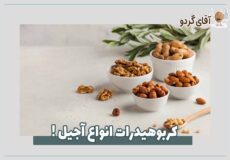 کربوهیدرات انواع آجیل