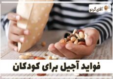 فواید آجیل برای کودکان