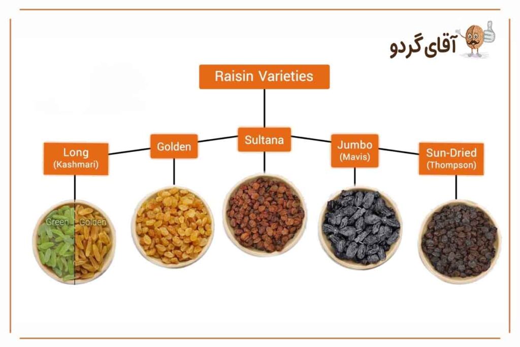 کالری انواع کشمش