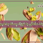 پسته را از چند ماهگی به نوزاد بدهیم