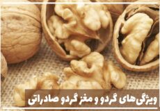 ویژگی‌های مغز گردو صادراتی