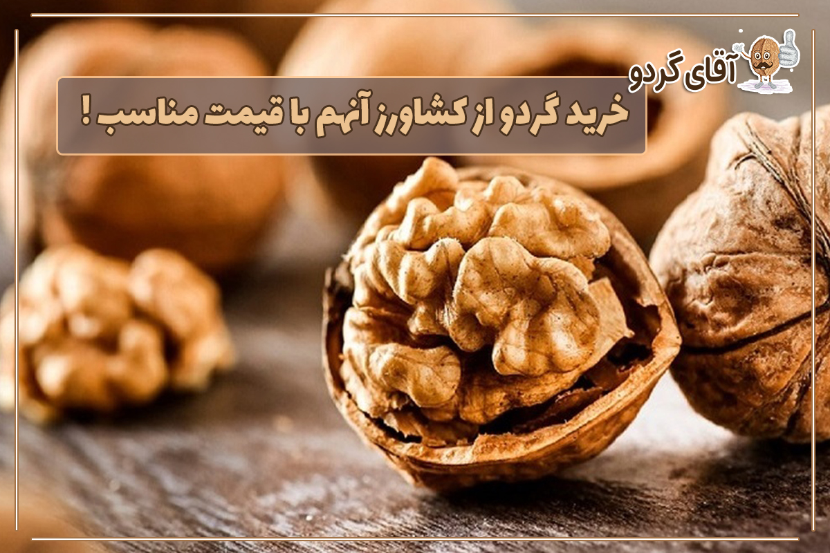 خرید گردو از کشاورز