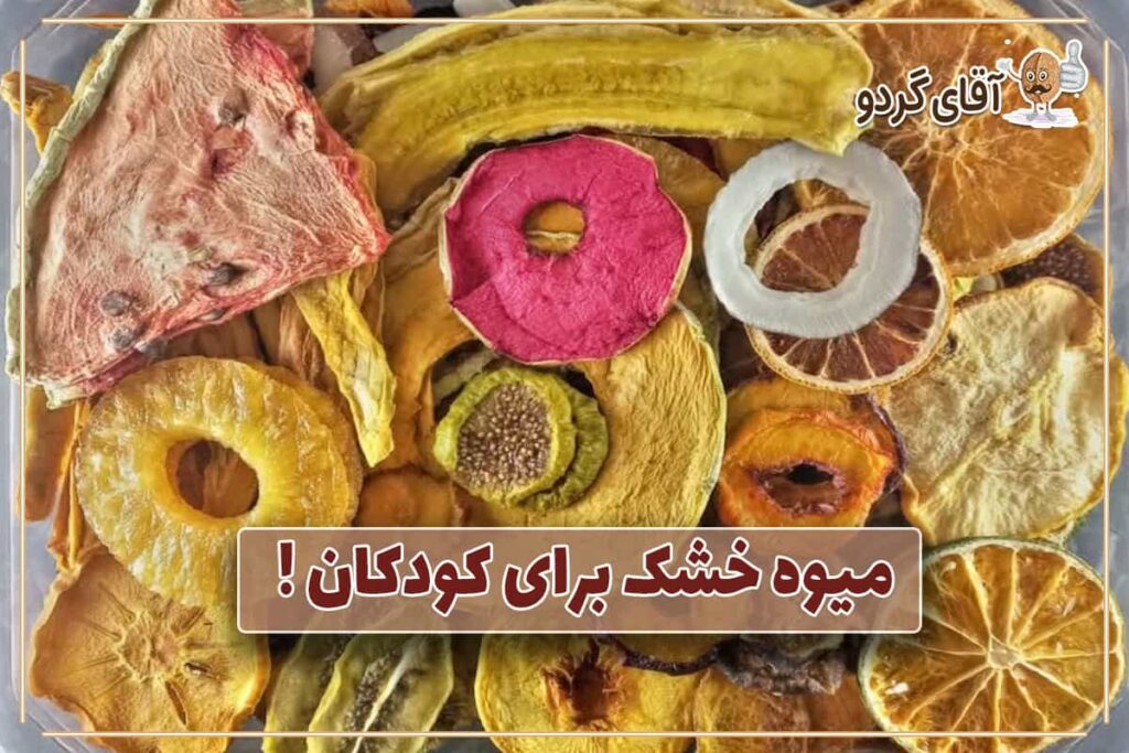 میوه خشک برای کودکان