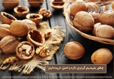 چطور بفهمیم گردوی تازه و اصل خریده‌ایم