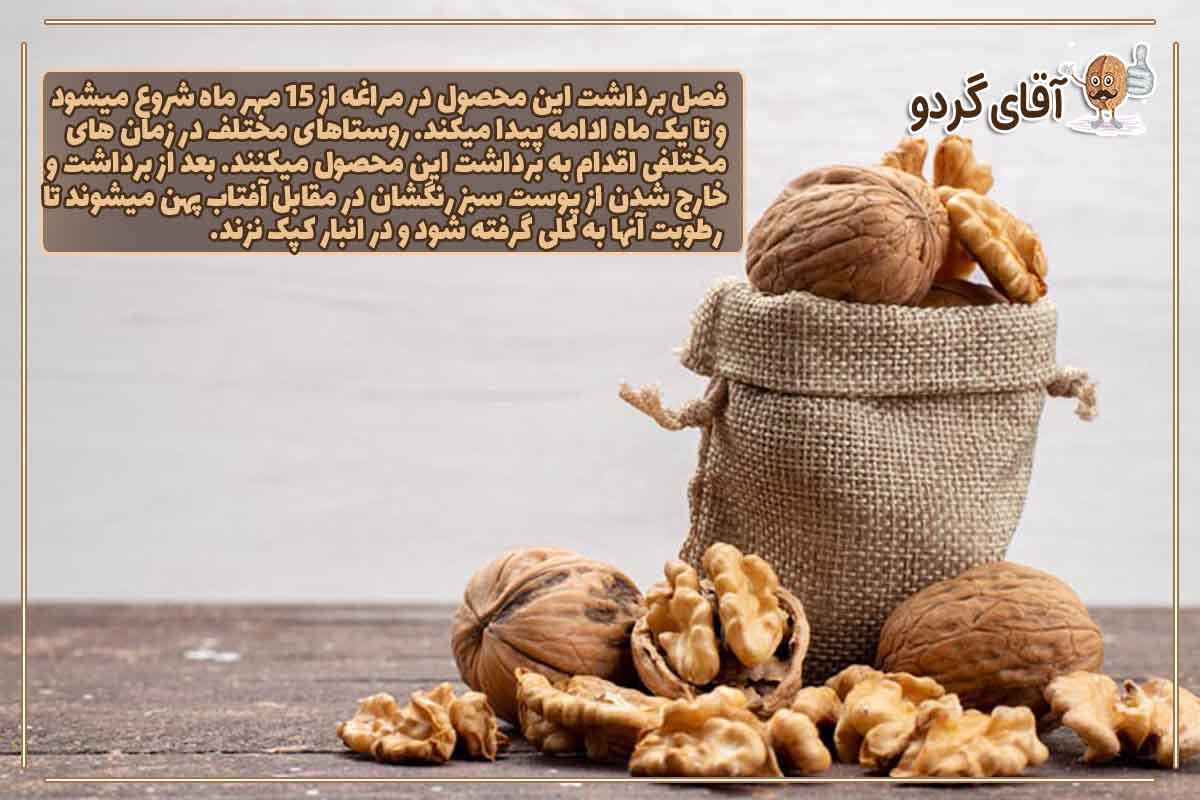 قیمت و خرید گردو از کشاورز