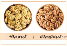 گردوی تویسرکان یا گردوی مراغه