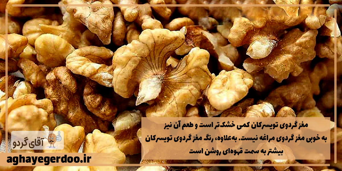 مغز گردوی تویسرکان