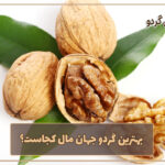 بهترین گردو جهان مال کجاست