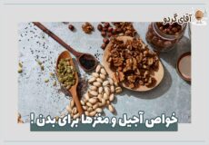 خواص آجیل و مغزها برای بدن