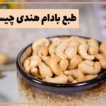 طبع بادام هندی چیست