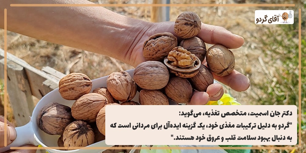 خواص گردو برای مردان