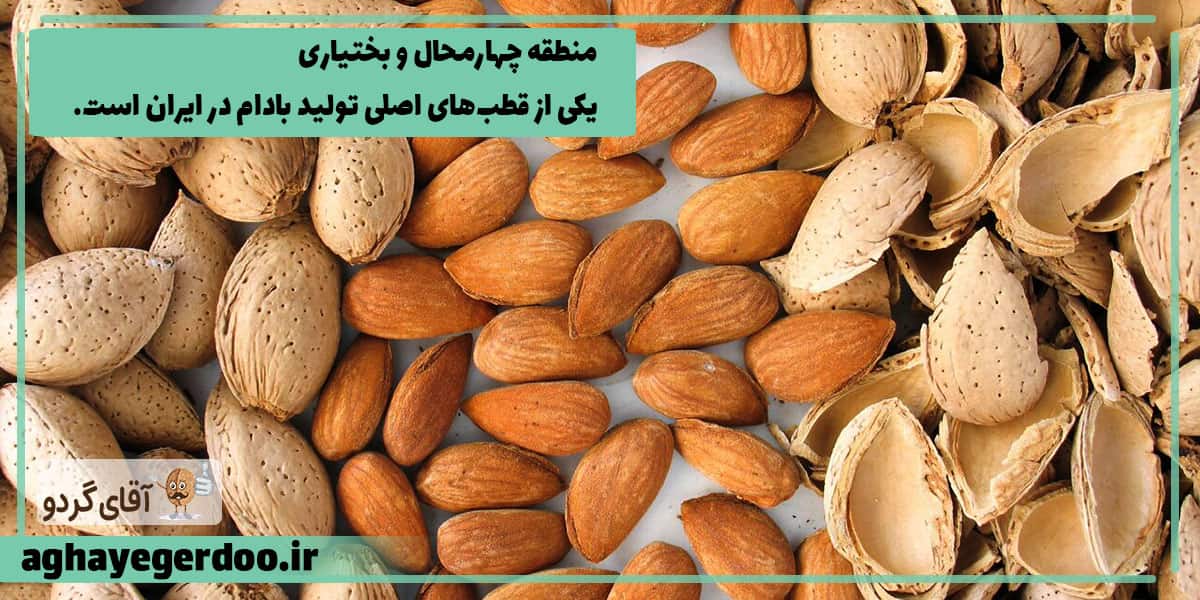 تولید بادام در ایران