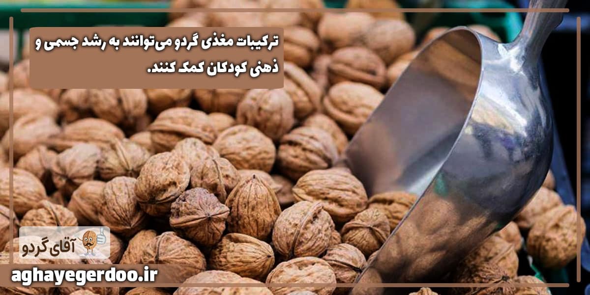 مغز گردو برای کودکان مفید است