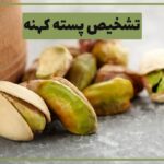 نحوه شناخت پسته کهنه و تازه