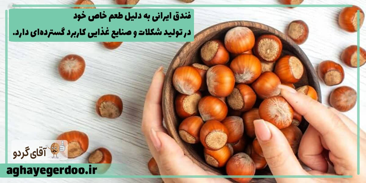 تولید فندق در ایران