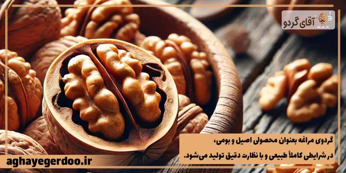 چربی بالای مغز گردوی مراغه