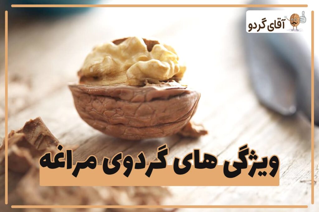 مغز گردوی مراغه بهترین گزینه برای خرید است