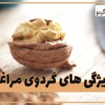 مغز گردوی مراغه بهترین گزینه برای خرید است