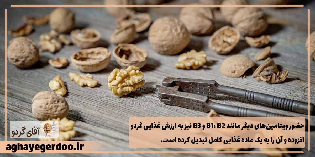 ارزش غذایی مغز گردو