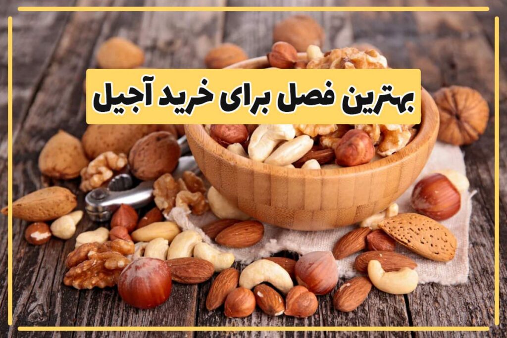 The-best-season-to-buy-various-nuts