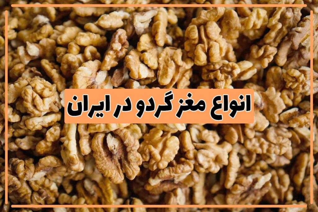 انواع گردو در ایران