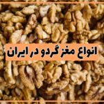 انواع گردو در ایران