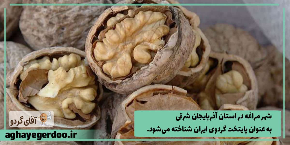 تولید گردو در ایران