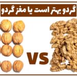 گردو یا مغز گردو، کدام بهتر است