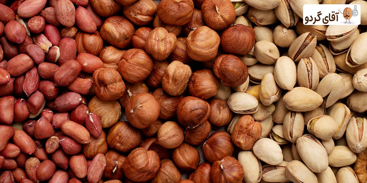 آجیل در بدنسازی