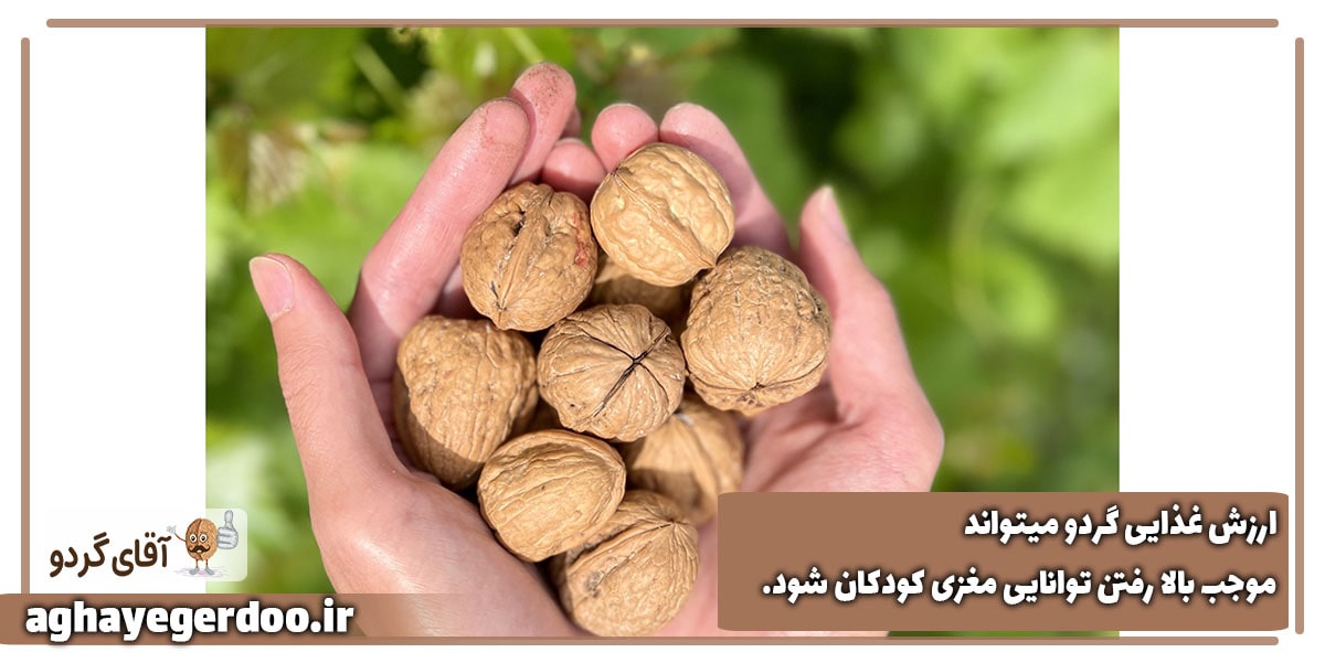 فواید گردو برای کودکان مدرسه ای