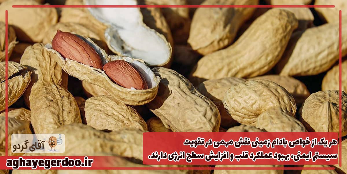 فواید بادام زمینی برای مردان