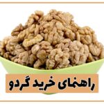 راهنمای خرید گردو