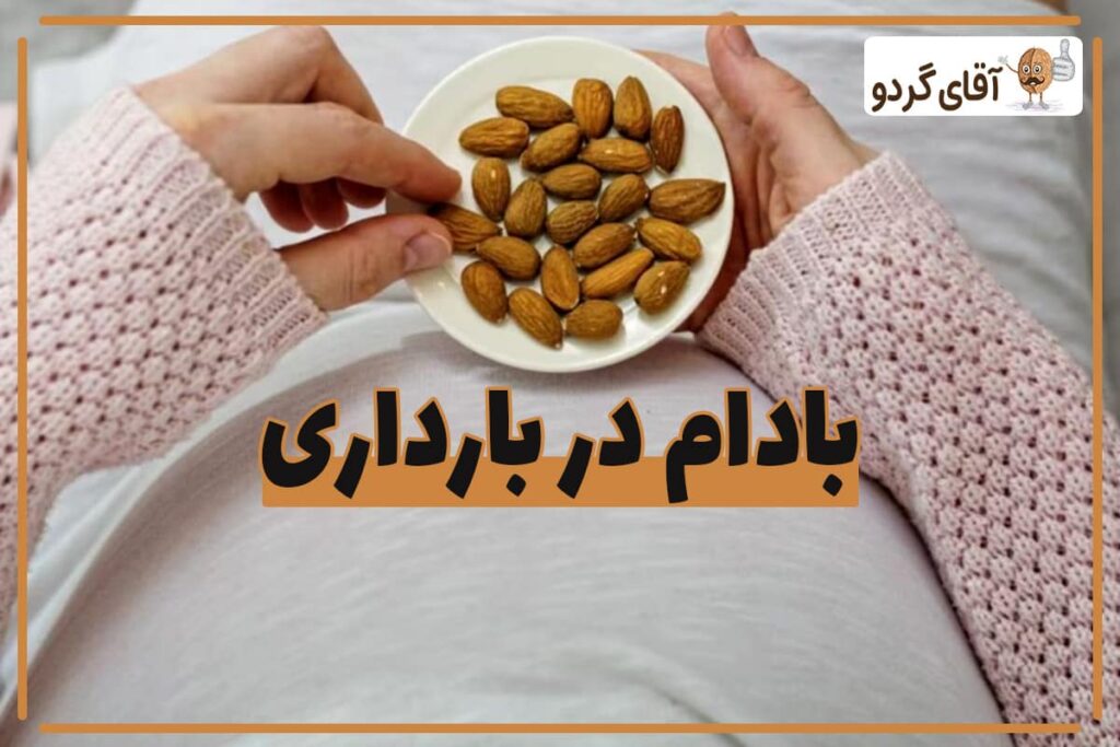 در دوران بارداری روزانه چند عدد بادام بخوریم