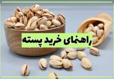 راهنمای خرید پسته