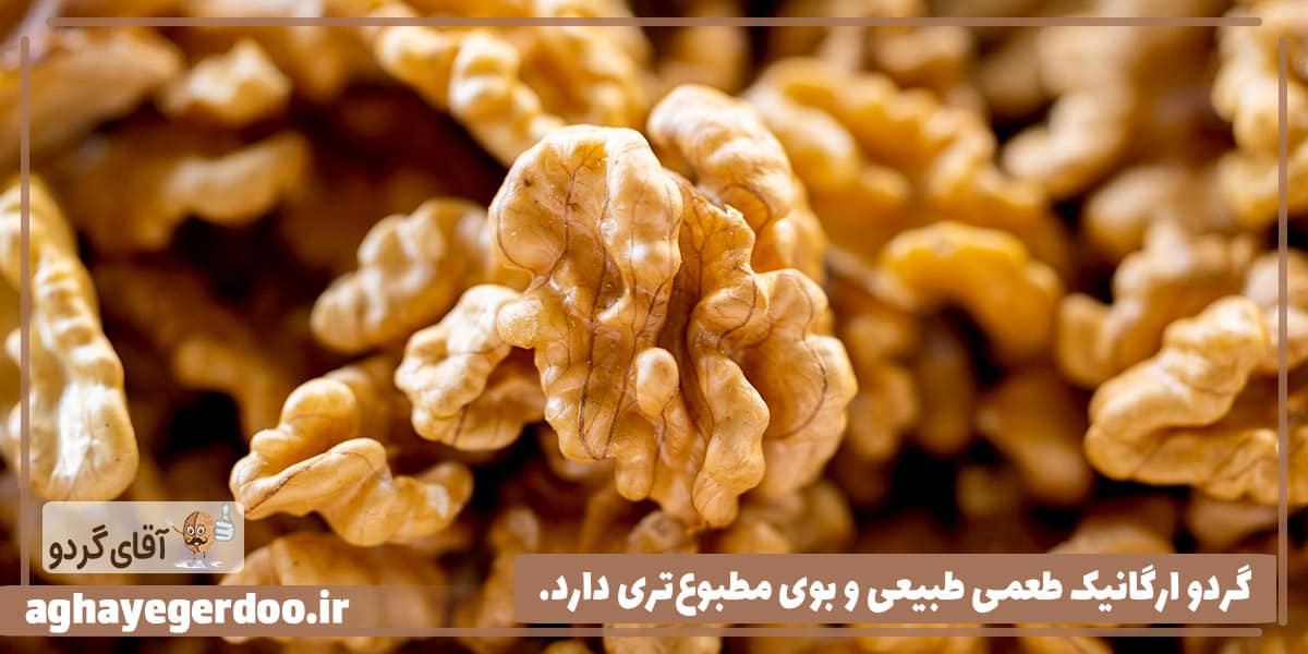 خواص مغز گردوی با کیفیت و ارگانیک