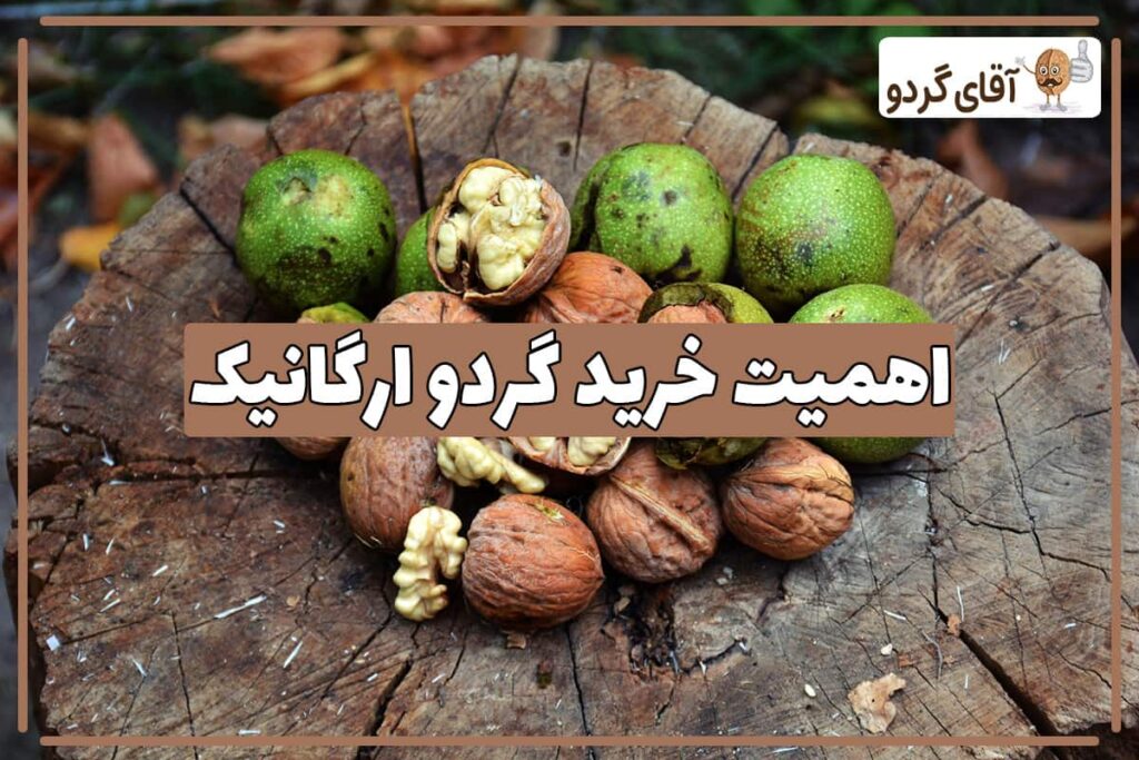 اهمیت خرید گردو ارگانیک از مراغه